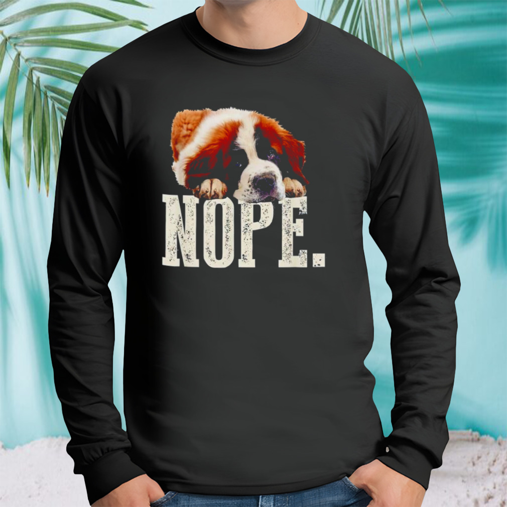Longsleeve tshirt