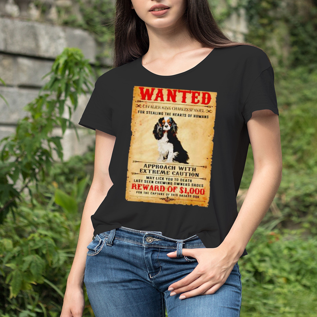 Women's tshirt