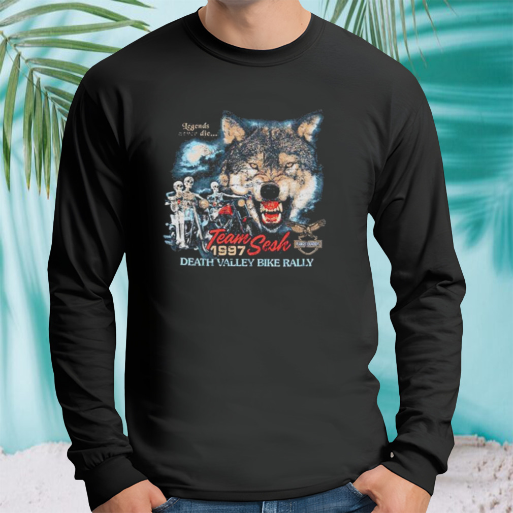 Longsleeve tshirt