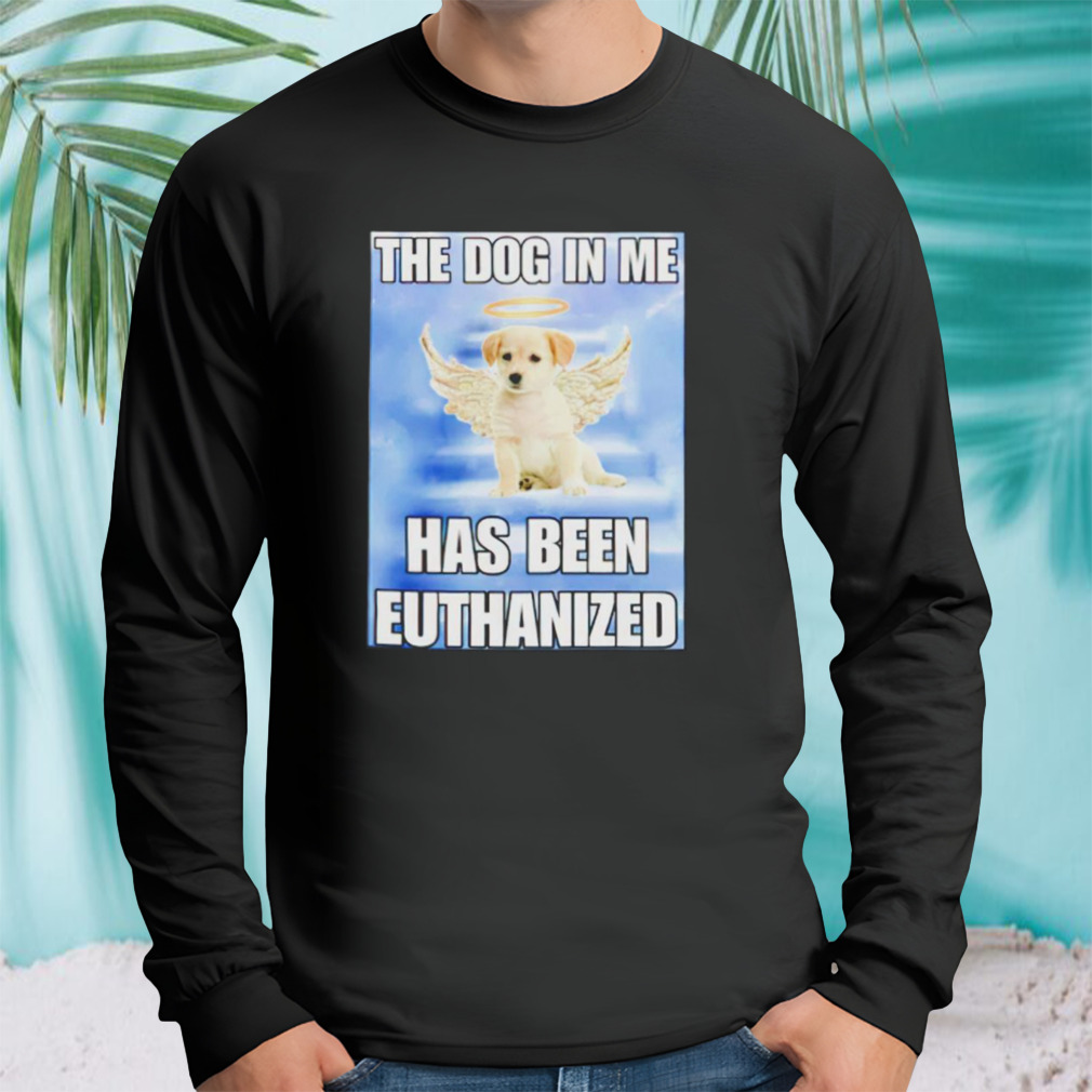 Longsleeve tshirt