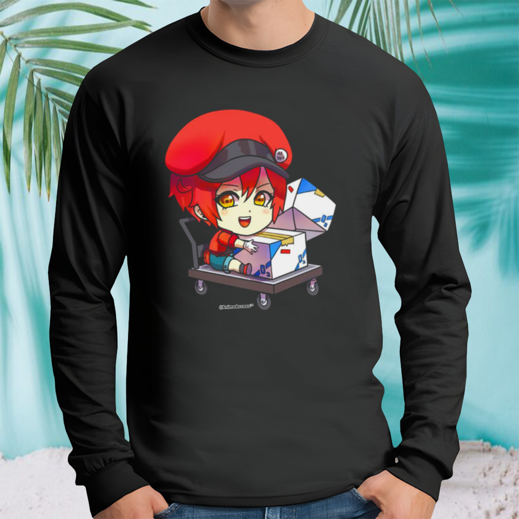 Longsleeve tshirt