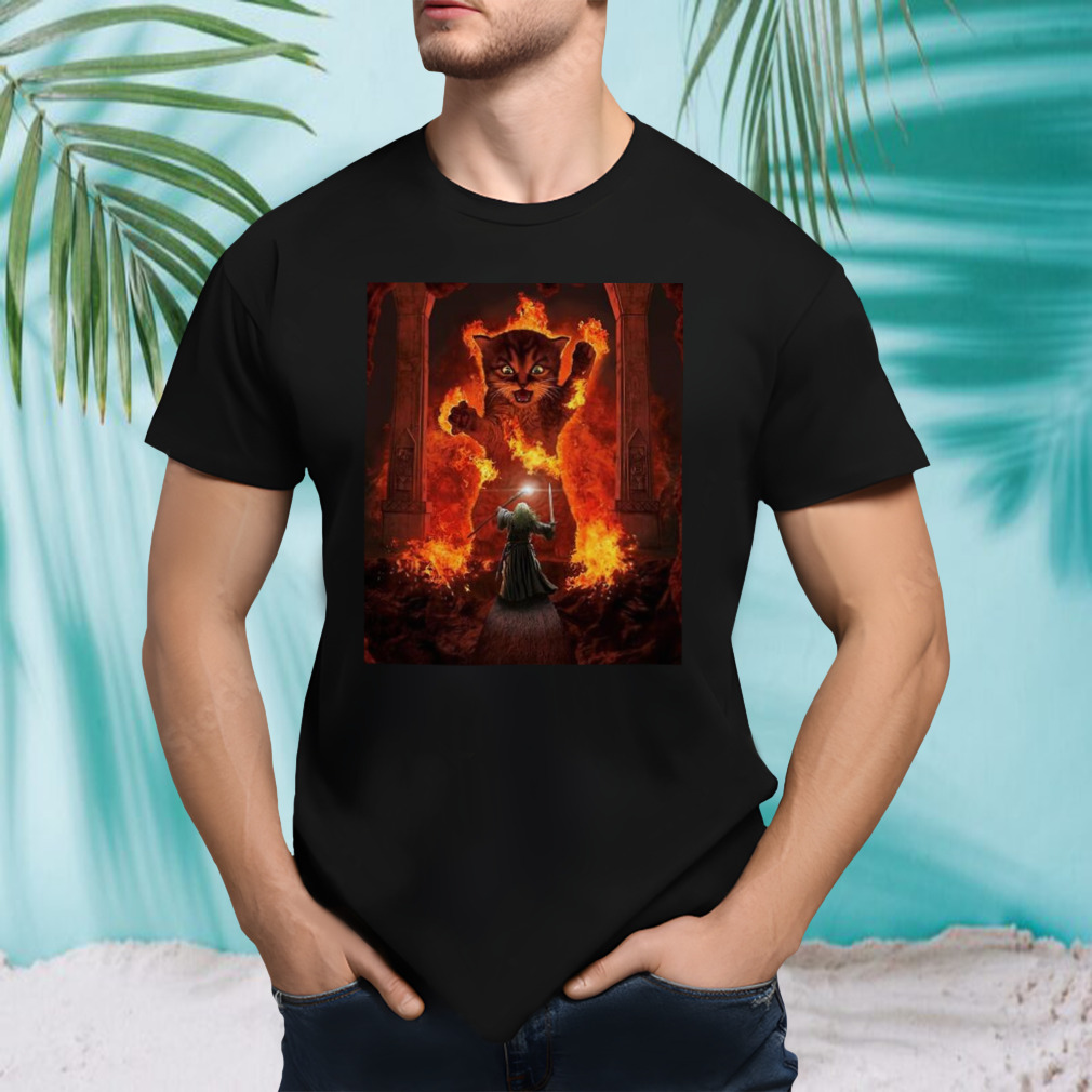 The Mountain Cat Gandalf You Shall Not Pass Fire Kitten T-shirt