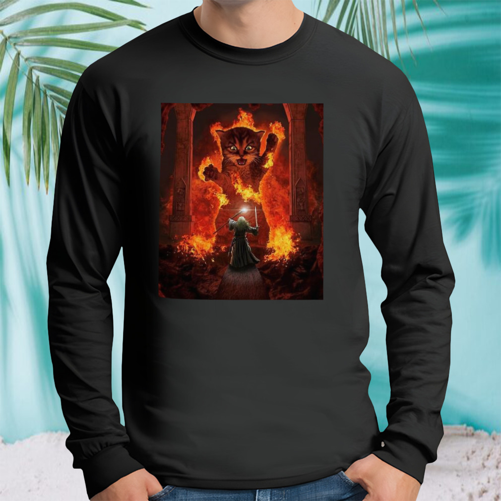 Longsleeve tshirt