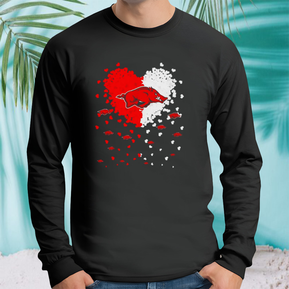 Longsleeve tshirt