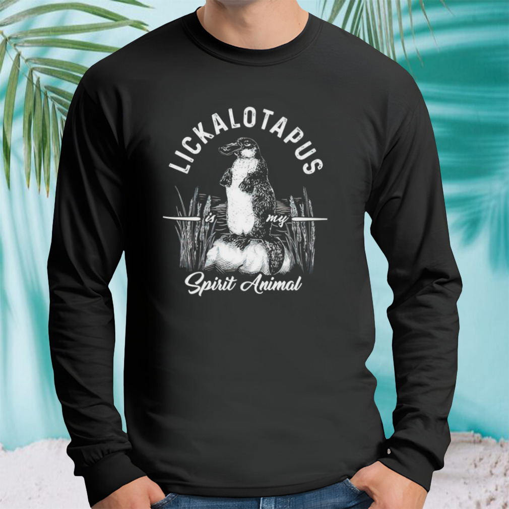 Longsleeve tshirt