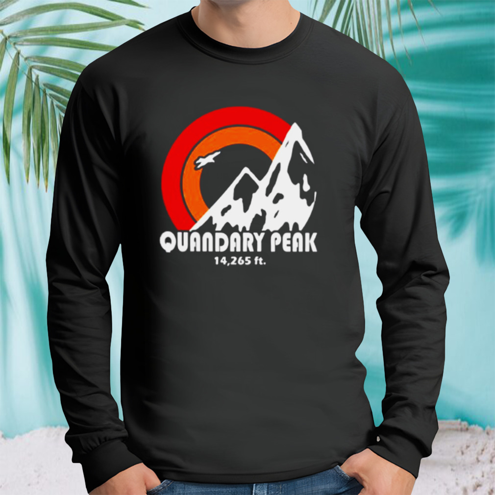 Longsleeve tshirt
