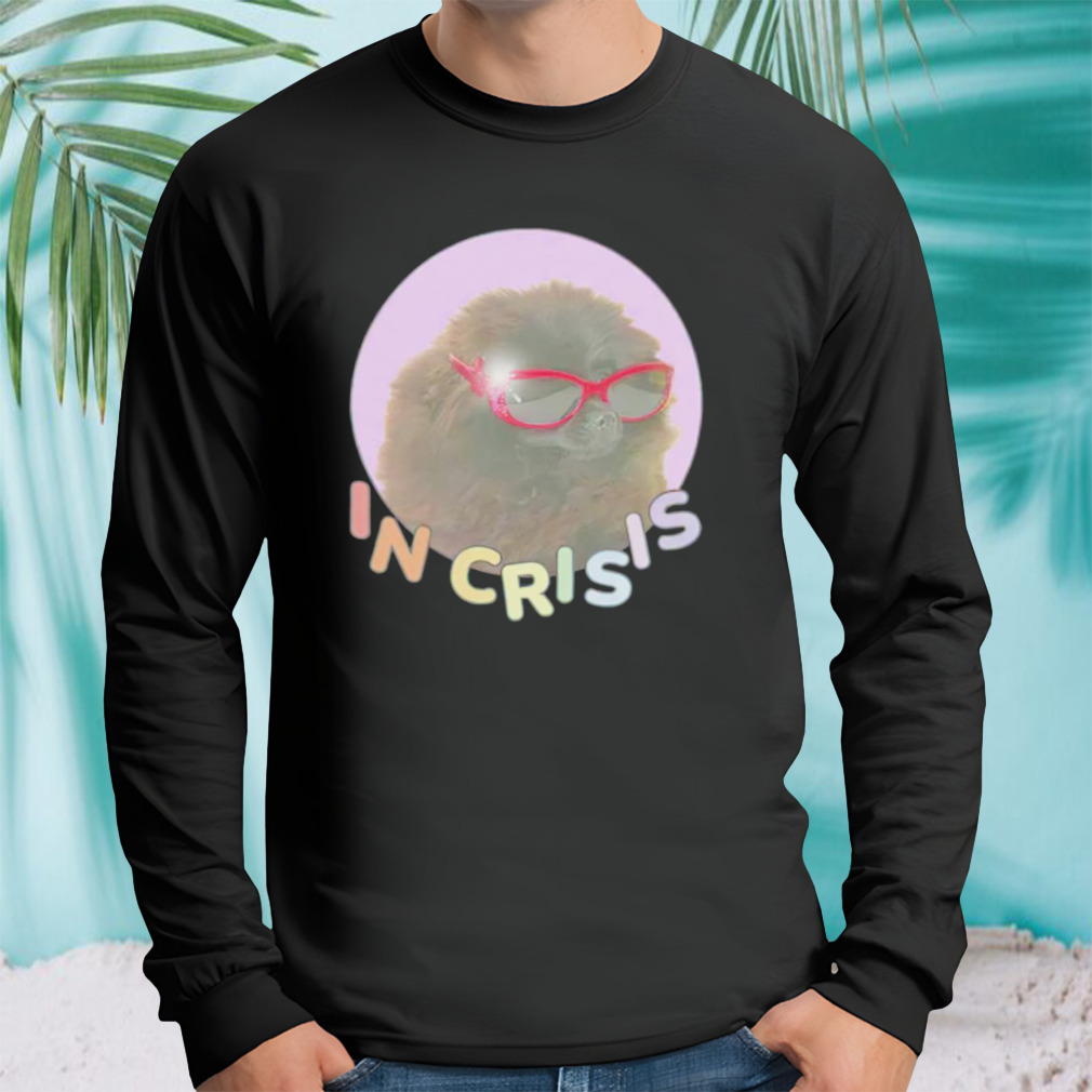 Longsleeve tshirt