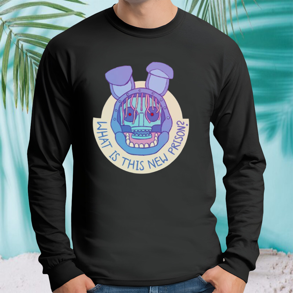 Longsleeve tshirt