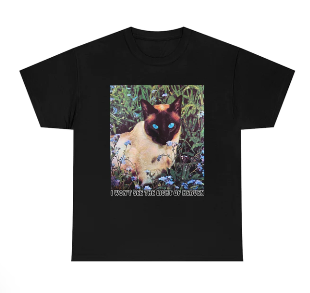 I Won_t See The Light Of Heaven shirt