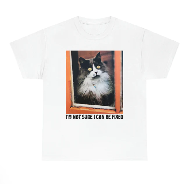 I_m Not Sure I Can Be Fixed shirt