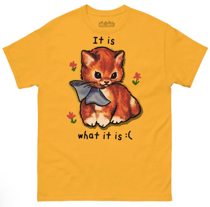 It Is What It Is shirt