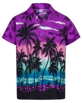 Beautiful Sunset Hawaiian Shirt  Unisex  Adult  Hw5208