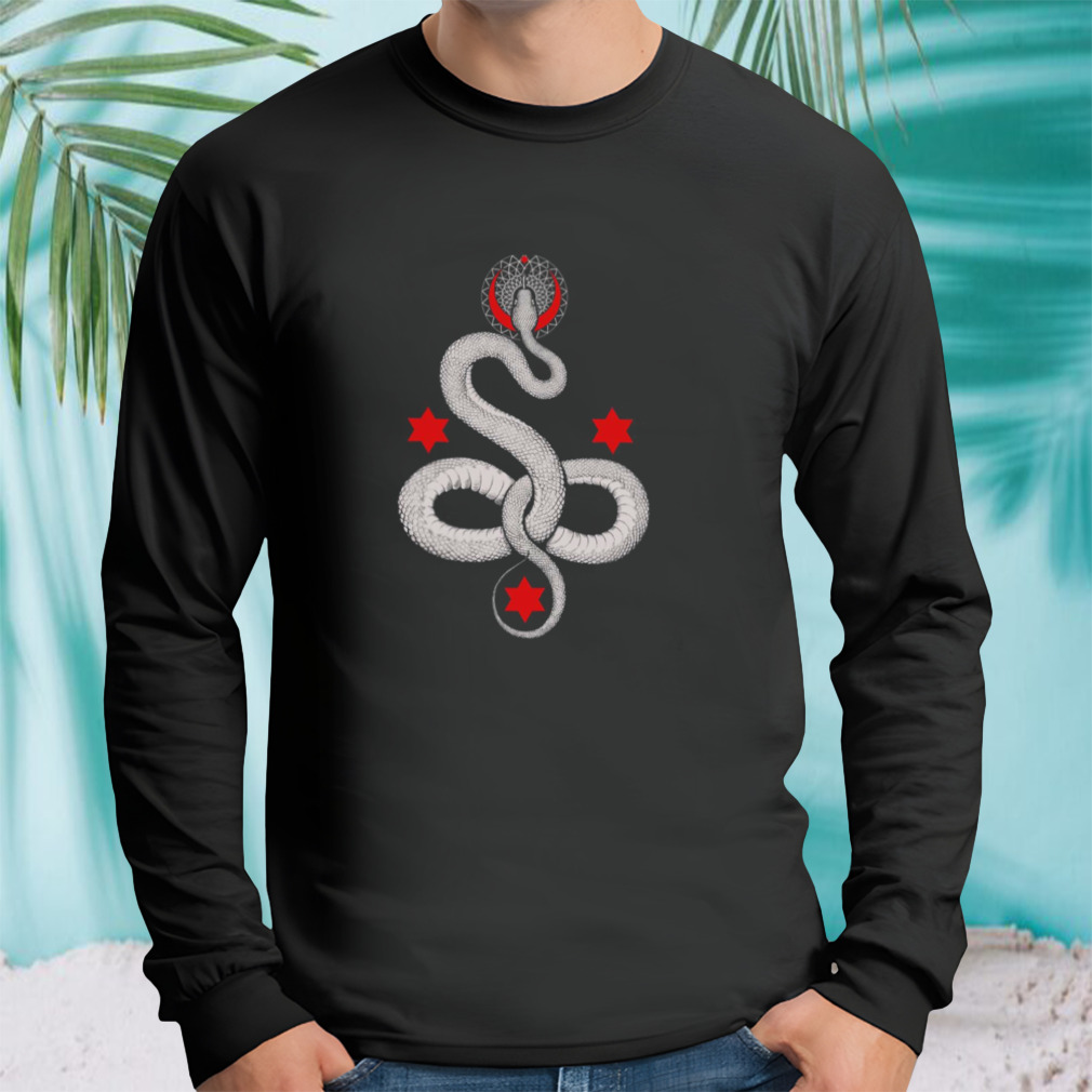 Longsleeve tshirt