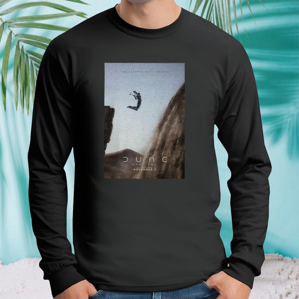 Longsleeve tshirt