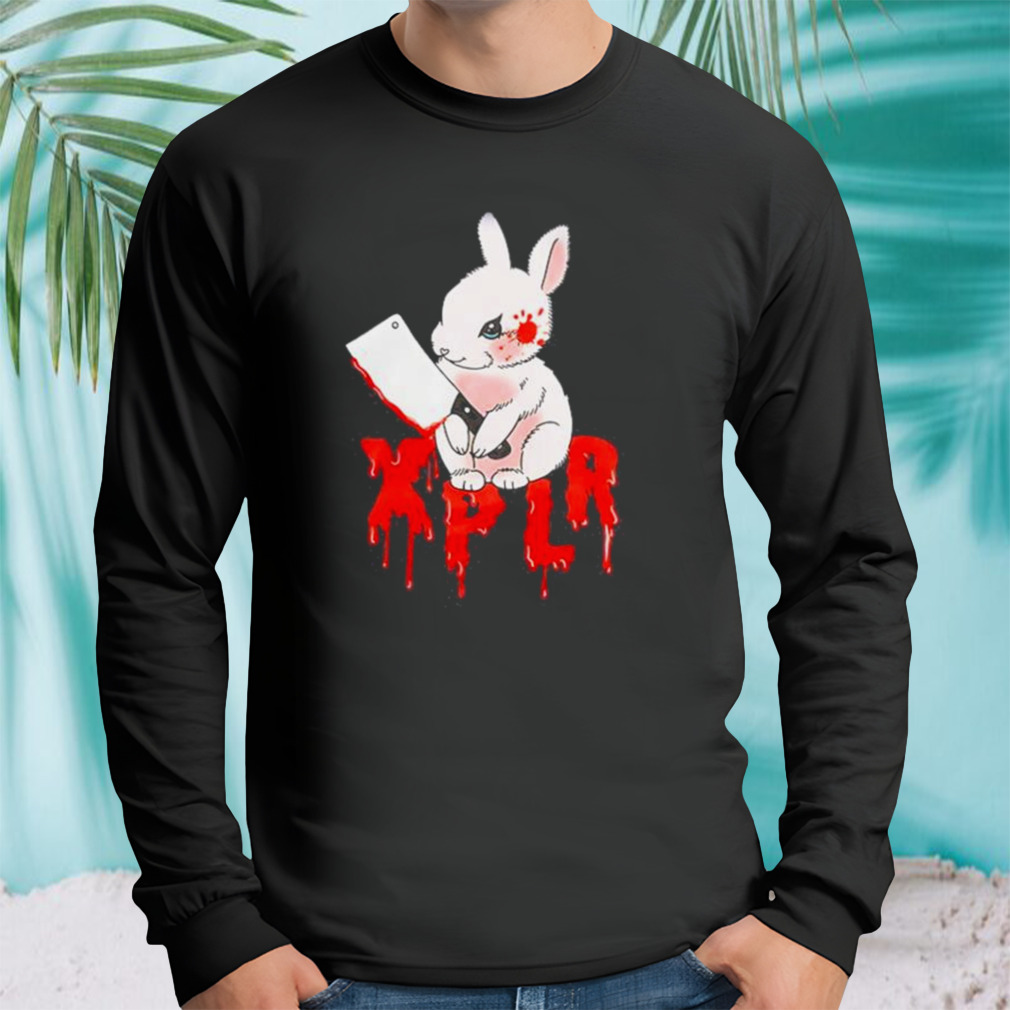 Longsleeve tshirt