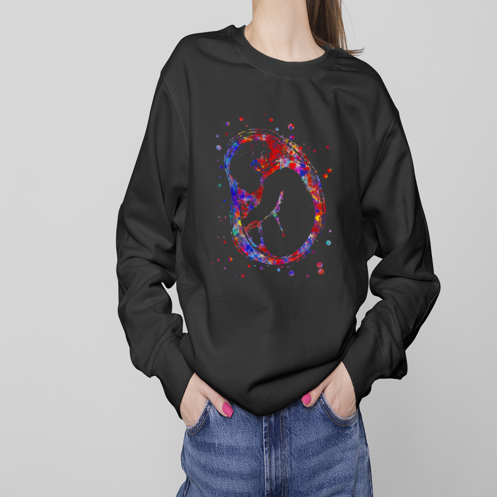 Fetus Foetus Baby’s Development Watercolor shirt 4 Sweaters