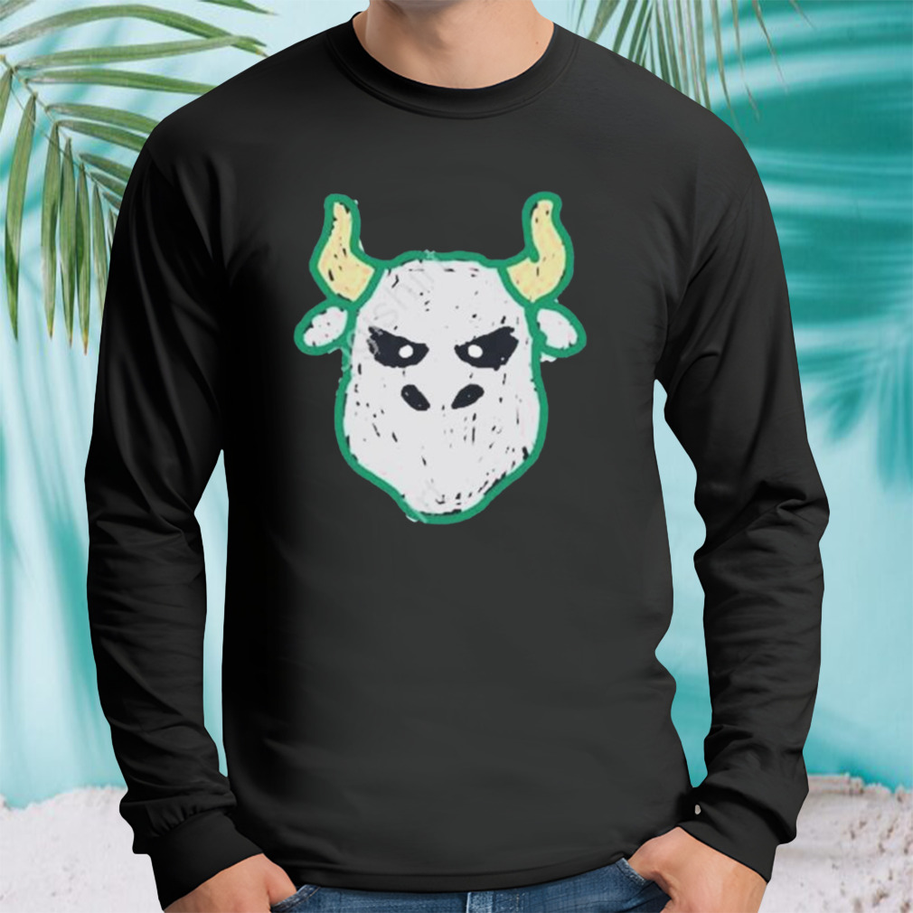 Longsleeve tshirt