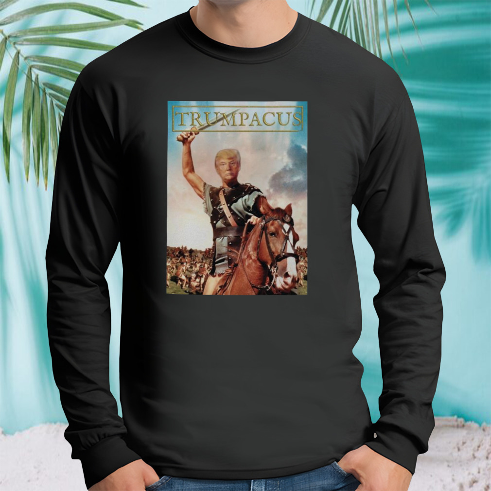Longsleeve tshirt