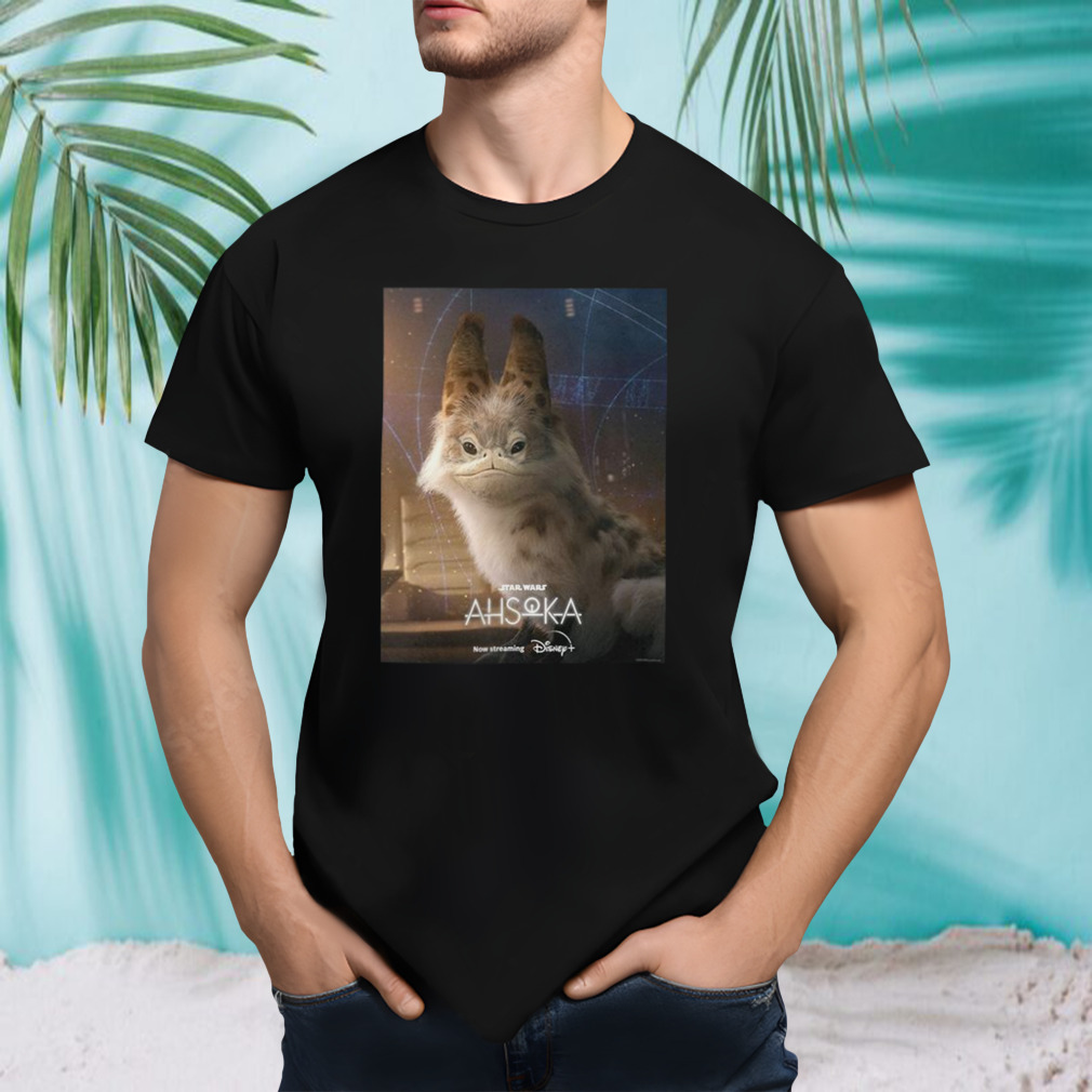Unisex tshirt