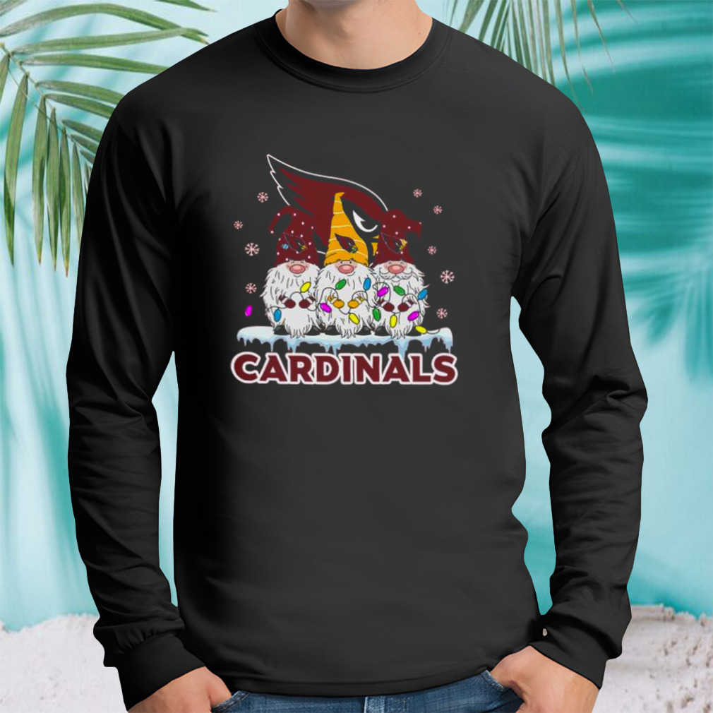 Longsleeve tshirt