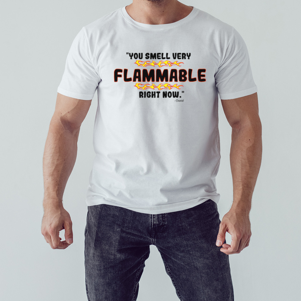 You Smell Very Flammable Right Now shirt