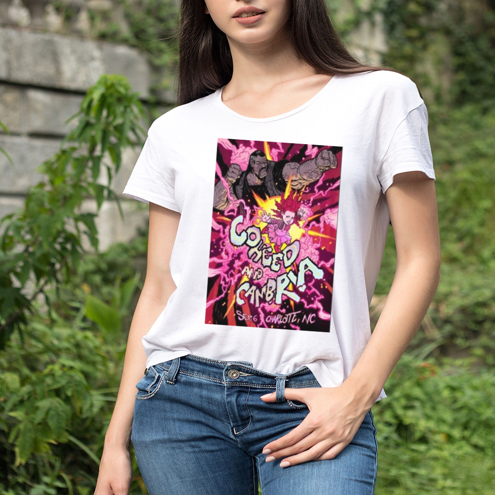 Women's shirt