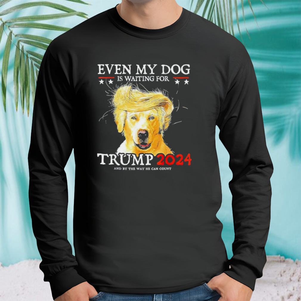 Longsleeve tshirt