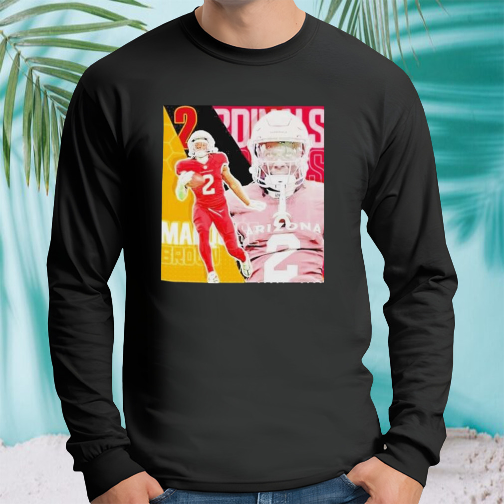 Longsleeve tshirt