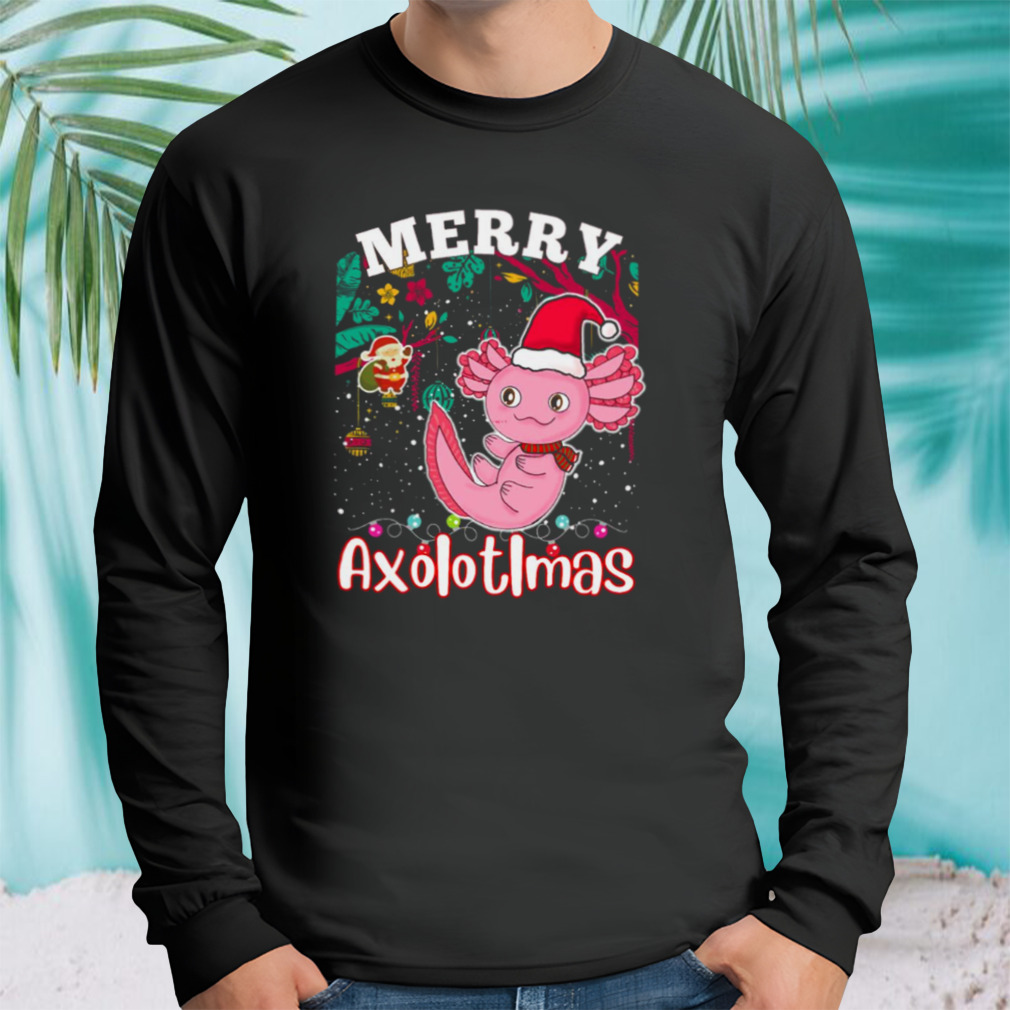 Longsleeve tshirt
