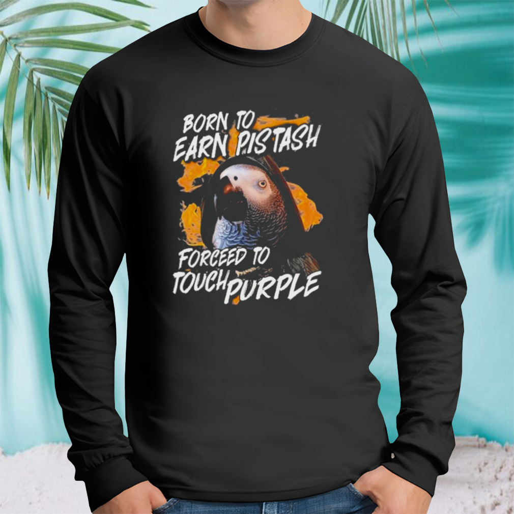 Longsleeve tshirt