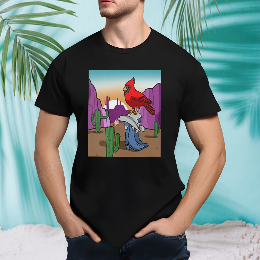 Arizona Sunsets Arizona Cardinals vs Dallas Cowboys T-Shirt