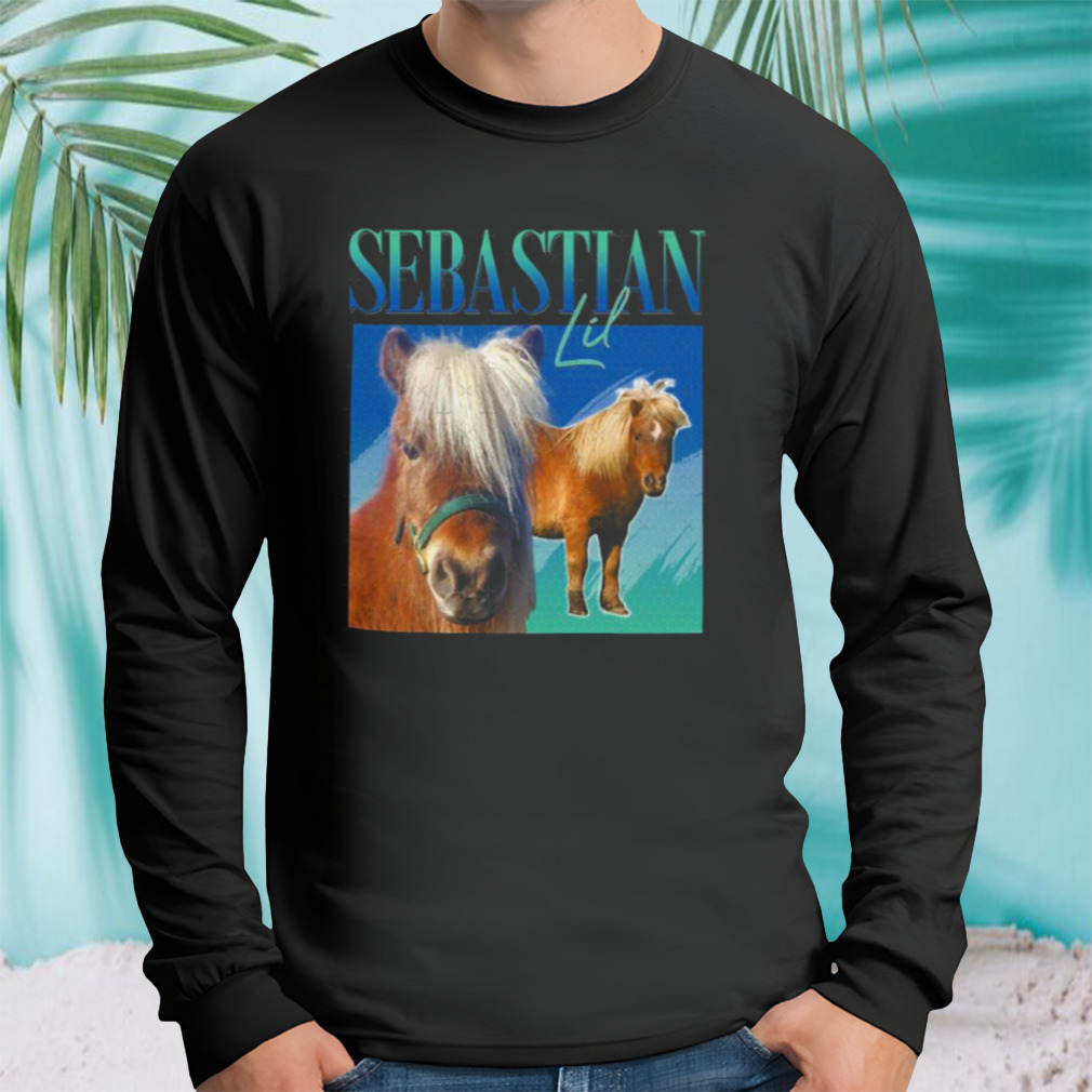 Longsleeve tshirt