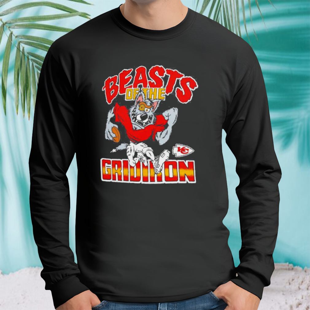 Longsleeve tshirt