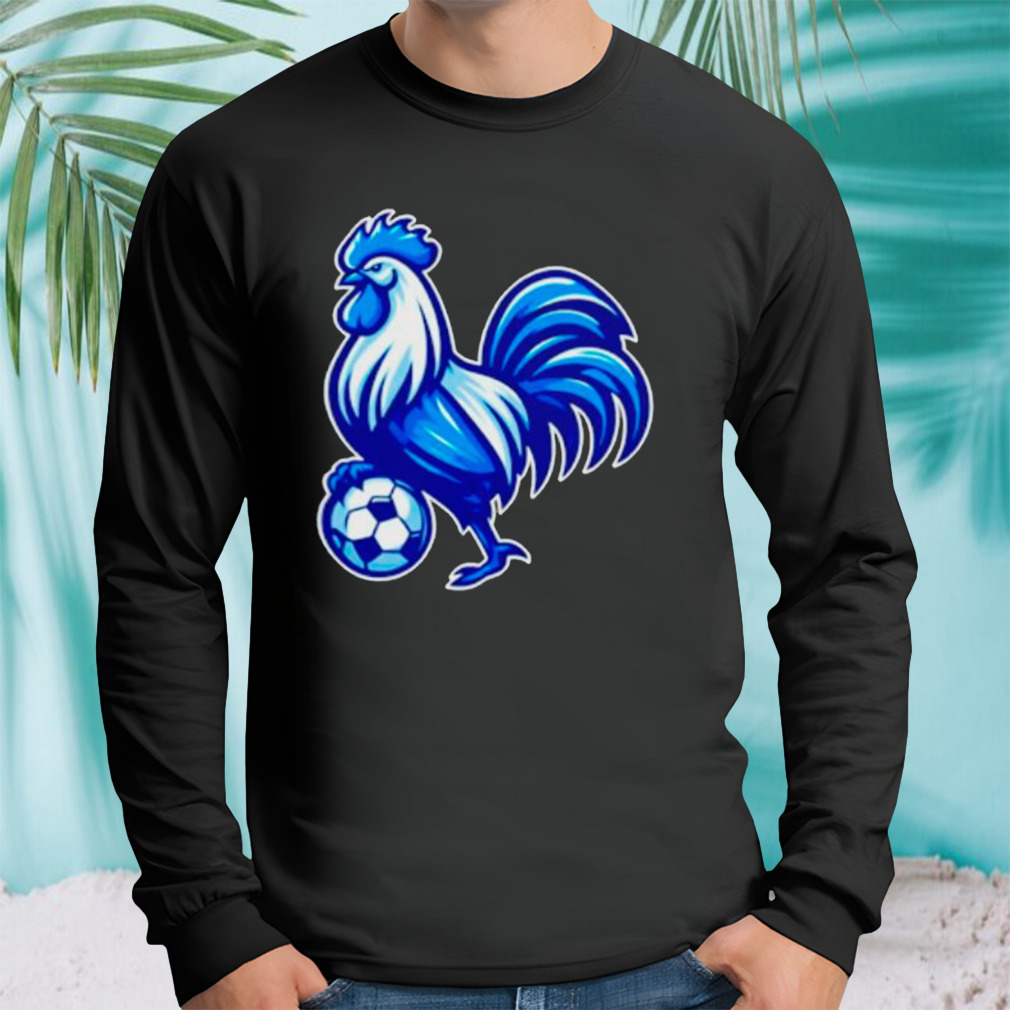 Longsleeve tshirt