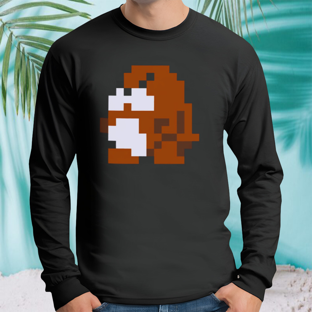 Longsleeve tshirt