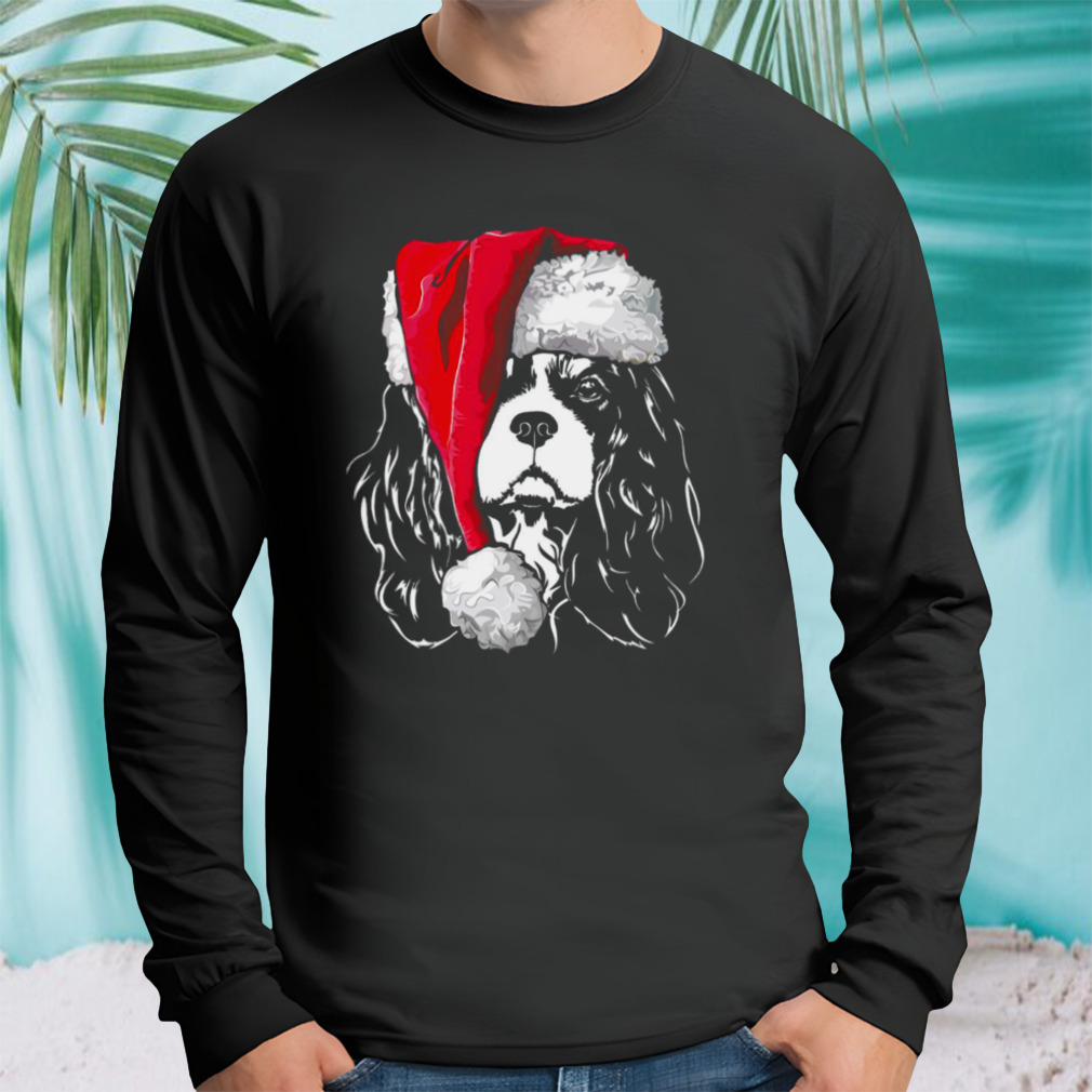 Longsleeve tshirt