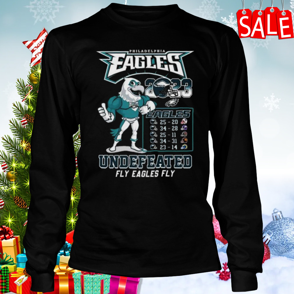 Philadelphia Eagles Fly Aesthetic Clothing Unisex Sweatshirt - Teeruto