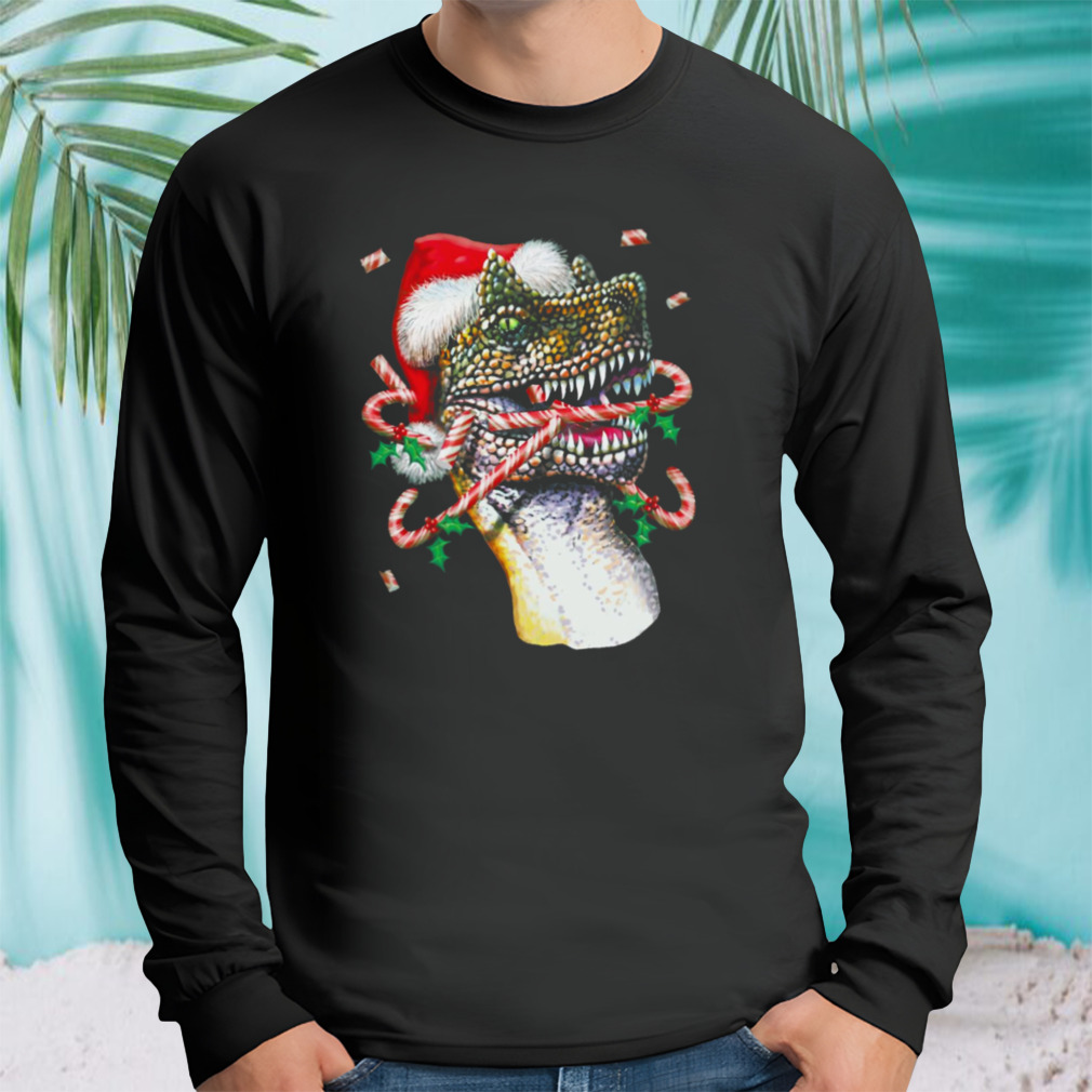 Longsleeve tshirt