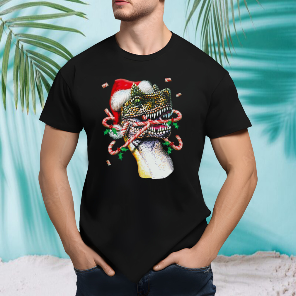 Unisex tshirt