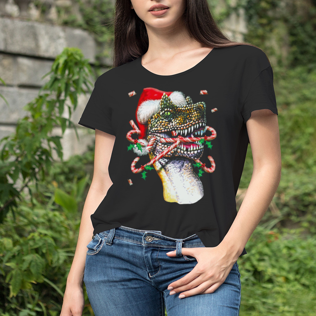 Women's tshirt