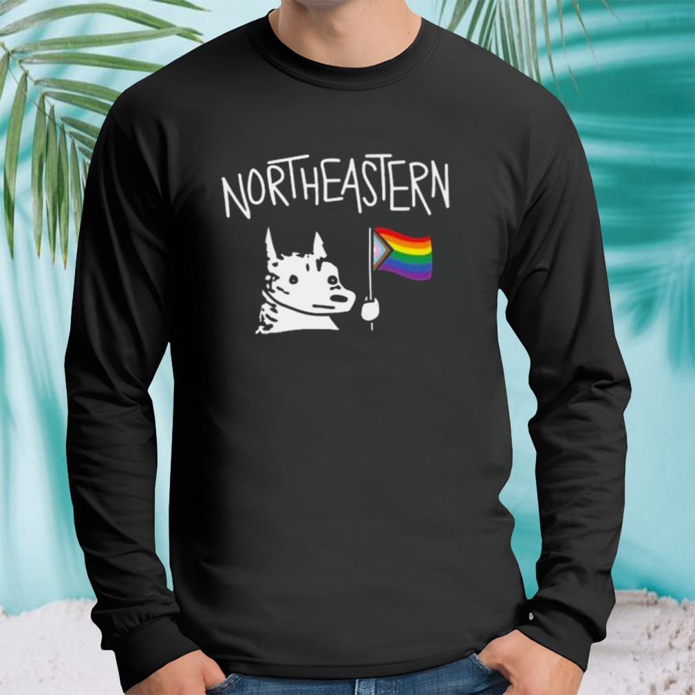 Longsleeve tshirt