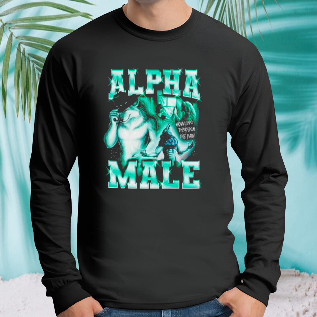 Longsleeve tshirt