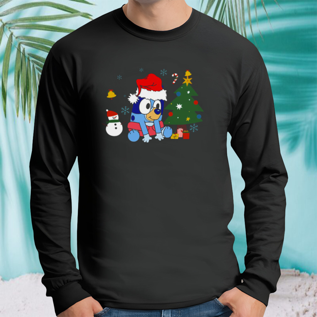 Longsleeve tshirt