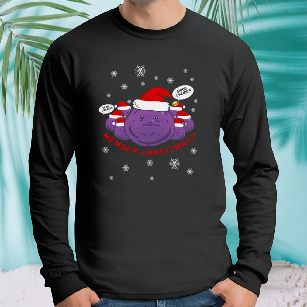 Longsleeve tshirt