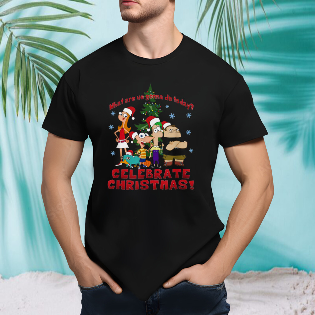 Group Celebrate Christmas shirt
