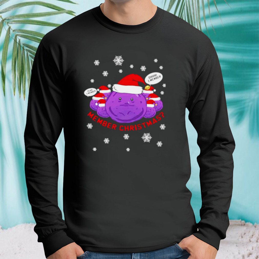 Longsleeve tshirt