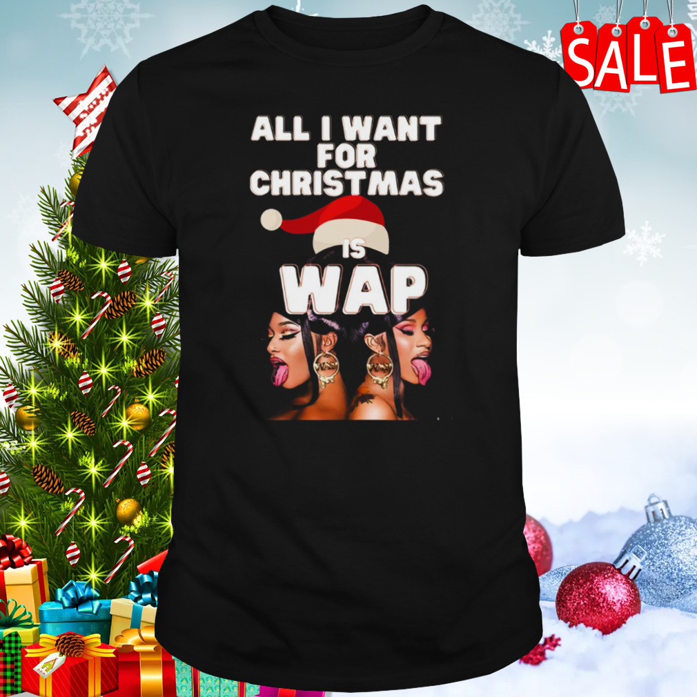 Wap All I Want For Christmas Is Wap Tiktok shirt