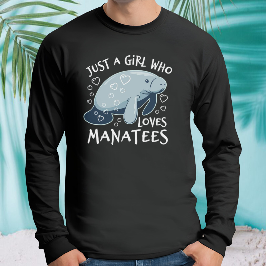 Longsleeve tshirt