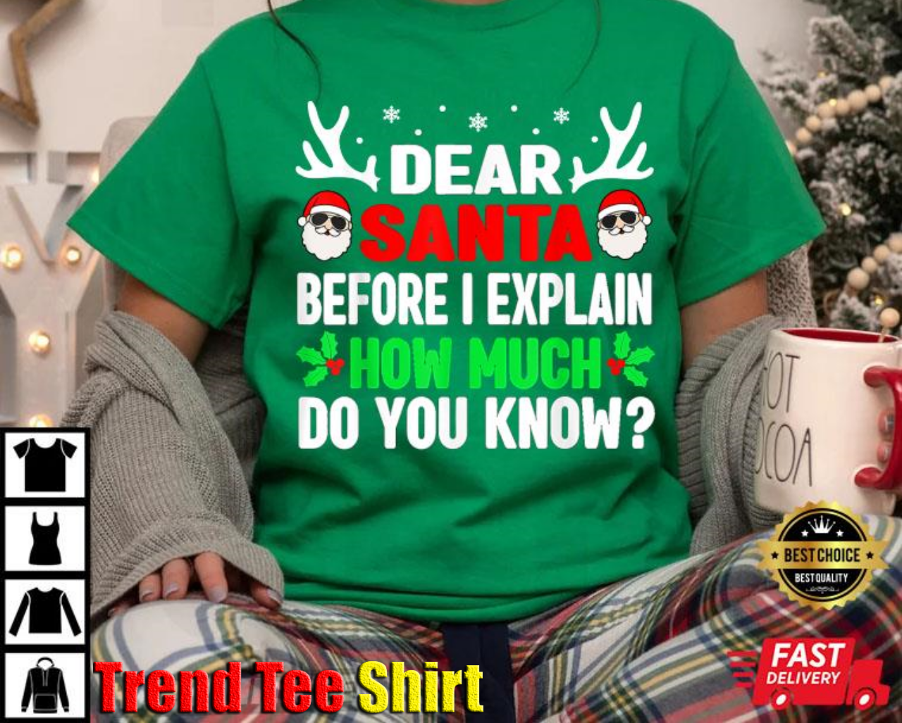 Funny Christmas Dear Santa I Can Explain T-Shirt