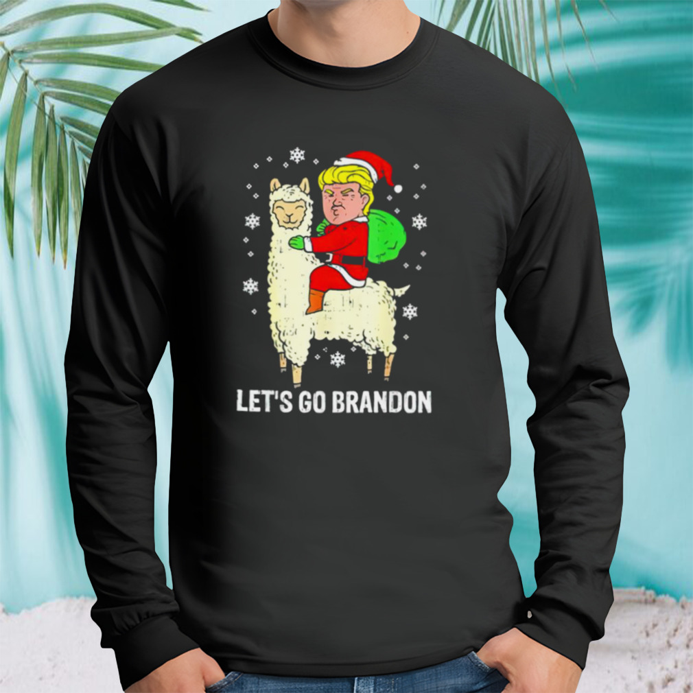 Longsleeve tshirt